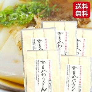 ひもかわうどん（300g）5袋セットひもかわ うどん 半生うどん 幅広うどん 幅広めん 半生麺 おきりこみ おきりこみうどん 樽沢 帯麺 小麦粉 群馬県産 群馬うどん ひもかわ饂飩 お土産 郡山銘販 まざっせこらっせ