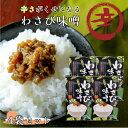 【マラソン期間P5倍】わさび味噌 4袋セット わさび 山葵 味噌 信州 おにぎり 野菜 豆腐 万能調味料 ご飯のお供 ごはんのお供 酒の肴 まるたか 郡山銘販 ...