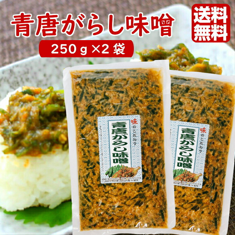青唐がらし味噌 (250g) 2袋セット ご飯のお供 お酒のおつまみ 青唐 青唐味噌 青唐辛子味噌 青唐からし味噌 青唐辛子 辛子味噌 からし味噌 味噌 信州 ...