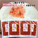 【マラソン期間P5倍】ご飯がすすむ 梅ザーサイ 4袋セット 炊家味 梅 ザーサイ ざーさい かつお風味 梅搾菜 搾菜 梅干し 梅肉 国産 ご飯のお供 惣菜 漬物...
