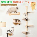 キャットウォーク キャットステップ 壁掛け式猫用ステップ 壁面 棚 DIY 壁 天然木 壁掛け猫クライマーセット 猫用 キャットタワー 猫家具 猫棚 猫ハウス ...