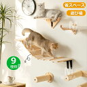 キャットウォーク キャットステップ 壁掛け式猫用ステップ 壁面 棚 DIY 壁 天然木 壁掛け猫クライマーセット 猫用 キャットタワー 猫家具 猫棚 猫ハウス ...