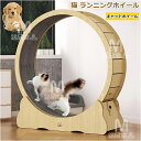 キャットホイール 猫 ランニングホイール キャットウォーク キャット 猫用回し車 ローラー 猫のトレッドミル 爪研ぎ キャットエクササイズホイール ノイズなし ...