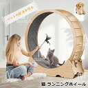 キャットホイール 猫 ランニングホイール キャットウォーク キャット 猫用回し車 ローラー 猫のトレッドミル 爪研ぎ キャットエクササイズホイール ノイズなし ...