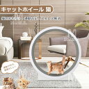 翌日配送 キャットホイール 猫 ランニングホイール キャットウォーク キャット 猫用回し車 ローラー 猫のトレッドミル 爪研ぎ キャットエクササイズホイール ノ...