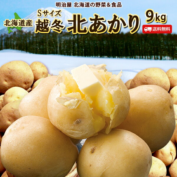 じゃがいも 送料無料 北あかり 9kg 小さな訳あり Sサイズ 北海道産 ニセコ産 サイズ混み ジャガイモ 芋 キタアカリ きたあかり わけあり ワケアリ S北