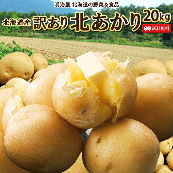 【11月上旬-中旬お届け予定ご予約承り中】じゃがいも 送料無料 北あかり 20kg 訳あり 北海道産 ニセコ産 低農薬栽培 サイズ混み ジャガイモ 芋 キタアカリ きたあかり わけあり ワケアリ 訳北