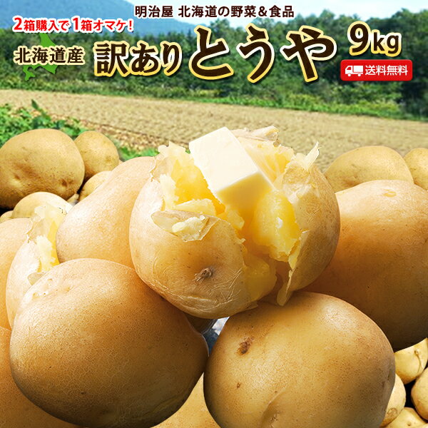 【9月下旬-10月上旬お届け♪】訳あり じゃがいも 送料無料 9kg とうや 北海道産 B品 ジャガイモ 芋 トウヤ わけあり ワケアリ 野菜 訳とうや