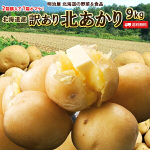 じゃがいも 送料無料 北あかり 9kg 訳あり 北海道産 羊蹄山麓産 低農薬栽培 サイズ混み ジャガイモ 芋 キタアカリ きたあかり わけあり ワケアリ 訳北