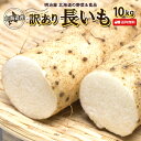 訳あり 長いも 送料無料 10kg 北海道産 トロロイモ 山いも ながいも