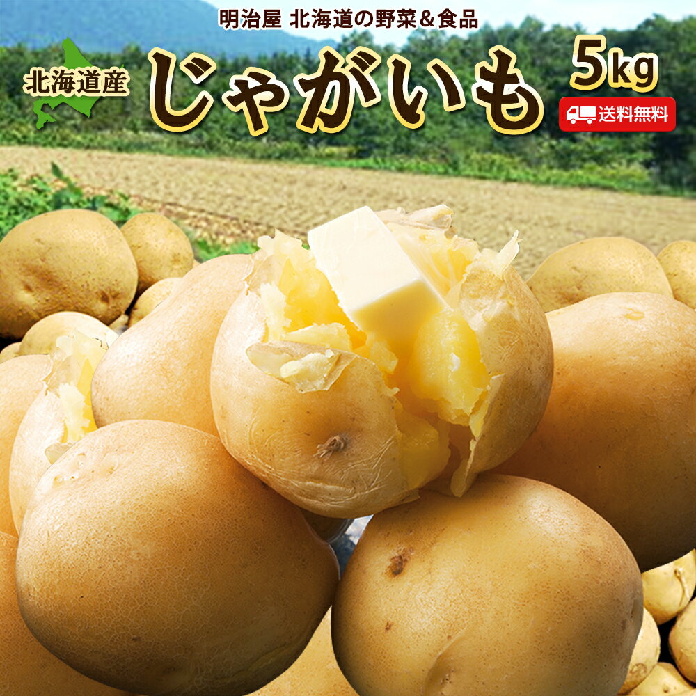 楽天市場】じゃがいも 種芋 5kgの通販 楽天市場】じゃがいも 種芋 5kgの通販