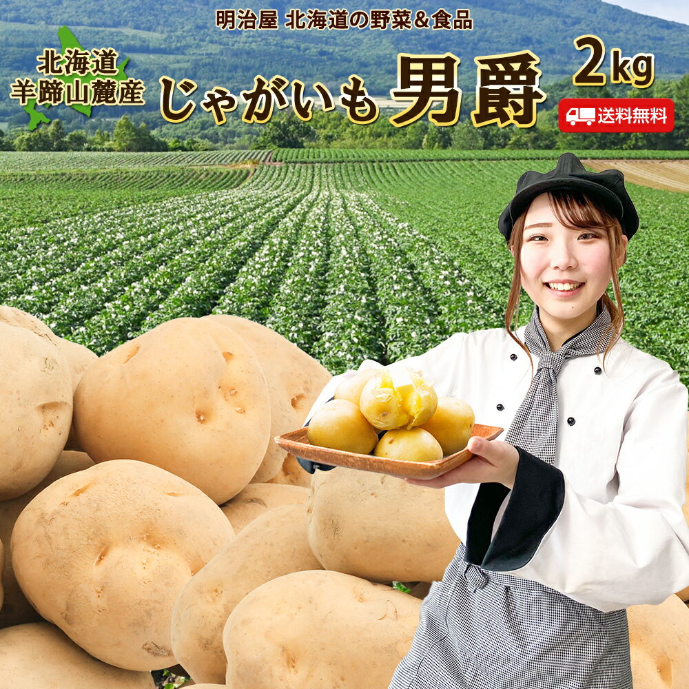 【9月下旬ー10月上旬お届け予定】じゃがいも 送料無料 2kg 男爵 北海道産 羊蹄山麓産 M〜L サイズ混み ジャガイモ 芋 ダンシャク 野菜ギフト 野菜 お歳暮 混み男