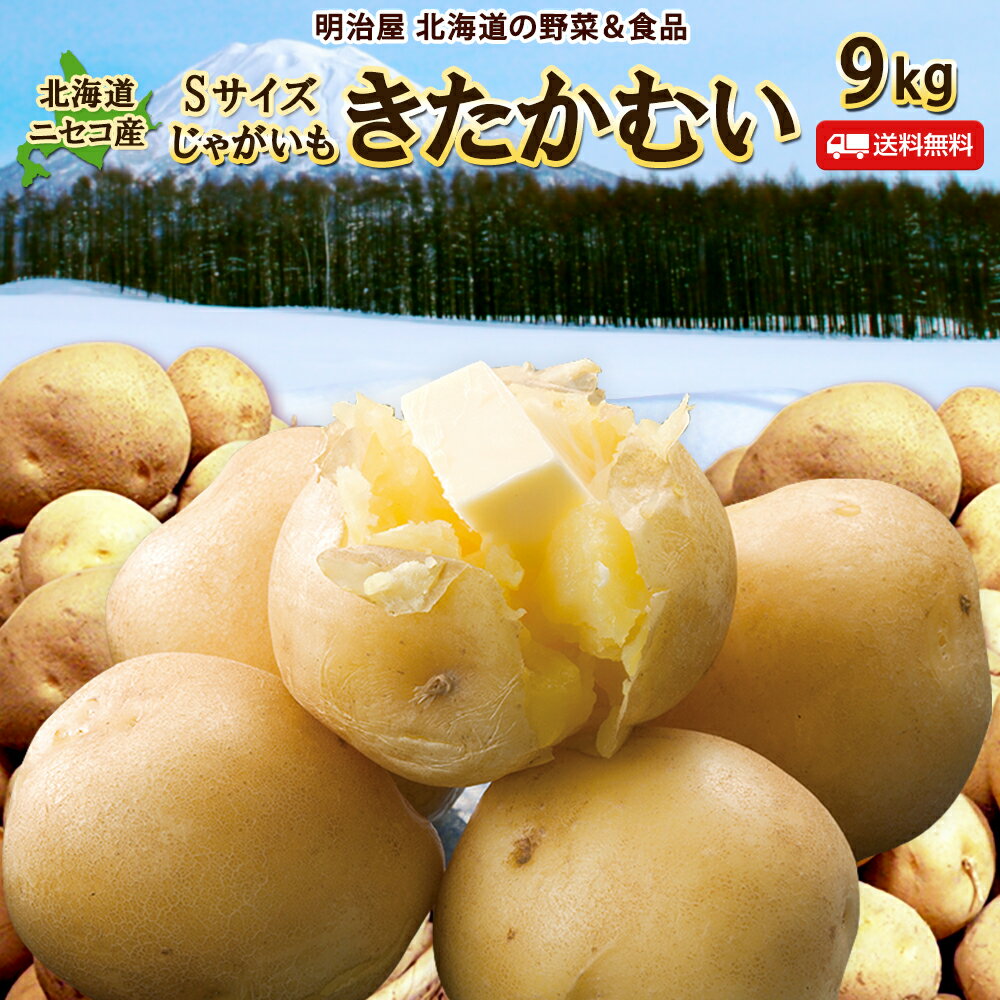 訳あり越冬じゃがいも きたかむい 送料無料 9kg 小さなSサイズ 北海道産 ニセコ産 キタカムイ ジャガイモ 芋 わけあり ワケアリ S北