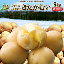 ＼50％OFFクーポン発行中／訳あり越冬じゃがいも きたかむい 送料無料 9kg 小さなSサイズ 北海道産 ニセコ産 キタカムイ ジャガイモ 芋 わけあり ワケアリ S北