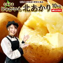 ★300円OFFクーポン発行中★じゃがいも 送料無料 北あかり 10kg 北海道産 羊蹄山麓産 M〜Lサイズ 野菜ギフト 野菜 お歳暮 ジャガイモ 芋 キタアカリ きたあかり 送料込み 混み北