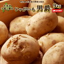 【10月上旬-中旬お届け予定♪ご予約承り中】じゃがいも 送料無料 9kg 男爵 北海道産 M-L サイズ混み ジャガイモ 芋 ダンシャク 野菜ギフト 野菜 お歳暮