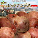 越冬じゃがいも レッドアンデス