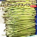 わけありアスパラ 送料無料 1kg 細い！SS-Sサイズ混み 北海道 ニセコ産 低農薬栽培 グリーンアスパラ 朝採り直送 クール便 アスパラガス 冷蔵便 野菜 訳あり野菜 わけあり 訳あり ワケアリ