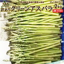 【5月下旬-6月中旬お届け】わけありアスパラ 送料無料 2kg 細い！SS-Sサイズ混み 北海道 ニセコ産 低農薬栽培 グリーンアスパラ 朝採り直送 クール便 アスパラガス 冷蔵便 野菜 訳あり野菜 わけあり 訳あり ワケアリ