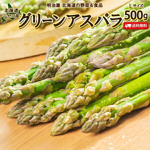 アスパラ 送料無料 500g Lサイズ 北海道 ニセコ産 低農薬栽培 グリーンアスパラ 朝採り直送 クール便 ギフト アスパラガス 冷蔵便 野菜ギフト 野菜