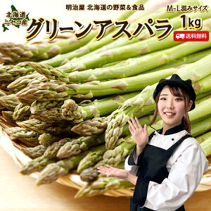 アスパラ 送料無料 1kg M〜Lサイズ 北海道 ニセコ産 低農薬栽培 グリーンアスパラ 朝採り直送 クール便 ギフト アスパラガス 冷蔵便 野菜ギフト 野菜 お中元ギフト