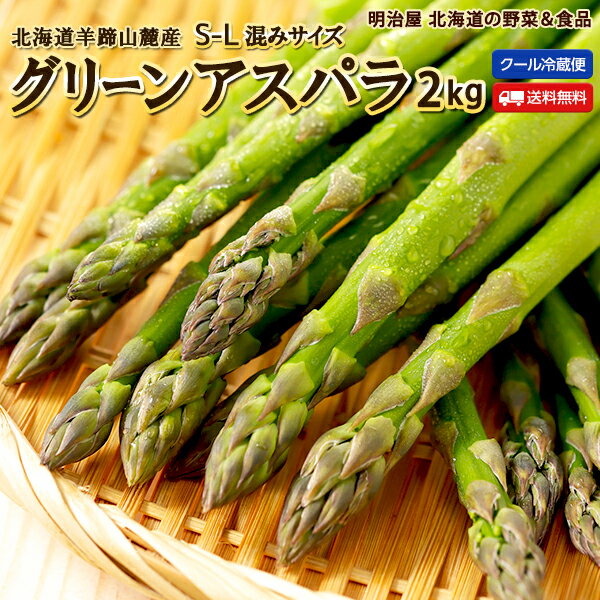 ＼楽天スーパーSALE！半額！／アスパラ 送料無料 2kg S〜L混みサイズ 北海道産 グリーンアスパラ 朝採り直送 クール便 ギフト アスパラガス 冷蔵便 野菜ギフト 野菜 お中元ギフトのサムネイル