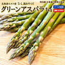 アスパラガス グリーン 訳あり 2kg 生で食べられる 北海道富良野産　送料無料　別途送料が発生する地域あり