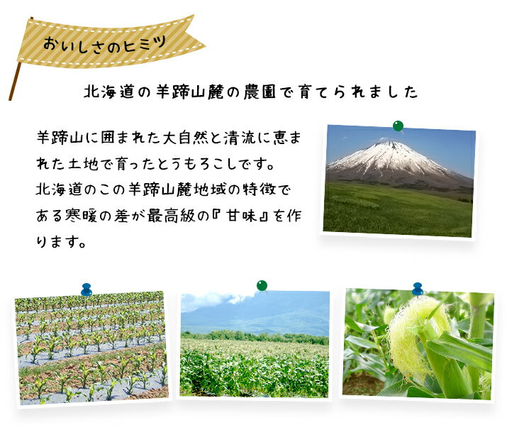 ��ͽ���ʡۡ�8�����-���ܤ��Ϥ�ͽ��ۤȤ�������� ����̵�� ��̣������� L-LL������ 10�� ī�Τ� �̳�ƻ�륹�Ļ� ���ǿ��٤�롪 ��¢�� �������ȥ����� �ȥ�������� �Ȥ����� ����OK�����Ȥ����������