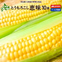 ★500円OFFクーポン発行中★とうもろこし 送料無料 恵味 L-LLサイズ 10本 朝採り 北海道ルスツ産 生で食べれる！ 冷蔵便 スイートコーン トウモロコシ とうきび 生食OK！