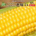【予約商品】【9月上旬発送開始予定】レトルトとうもろこし 送料無料 恵味 2本 \複数購入特典付き/ 北海道真狩産 いつでも食べれる!常温保管可能 スイートコー...