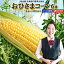 とうもろこし 送料無料 おひさまコーン 6本 L-LLサイズ 北海道 ニセコ産 低農薬栽培 2,4kg以上 クール便 冷蔵 北海道産 トウモロコシ スイートコーン とうきび 生食 生で食べれる 朝採り