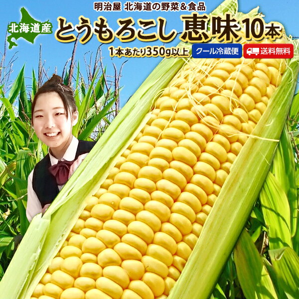 【ふるさと納税】とうもろこしサイズ2L 約22本 約10kg、発泡氷詰め ※8月下旬より順次出荷 とうもろこし 季節野菜 トウモロコシ 旬 夏 とうきび 野菜 先行予約　【野菜・とうもろこし】　お届け：2024年8月21日～9月2日まで