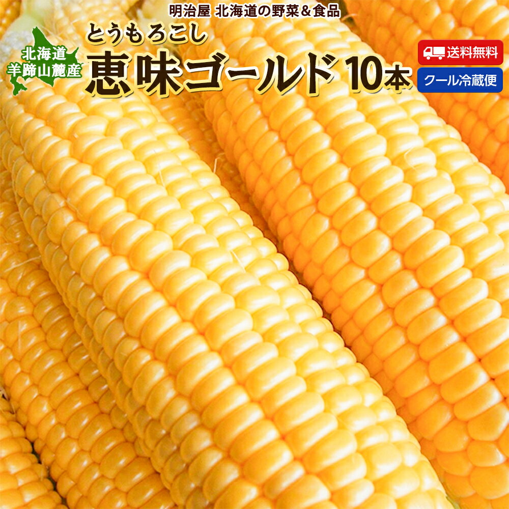 【予約商品】【8月下旬-9月上旬お届け】★500円OFFクーポン発行中★とうもろこし 送料無料 恵味ゴールド L-LLサイズ 10本 朝採り 北海道ルスツ産 生で食べれる! 冷蔵便 スイートコーン トウモロコシ とうきび 生食OK!