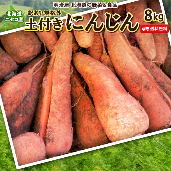 わけありにんじん 送料無料 8kg 北海道産 ニセコ産 低農薬栽培 にんじん 訳あり 規格外 土付き ...