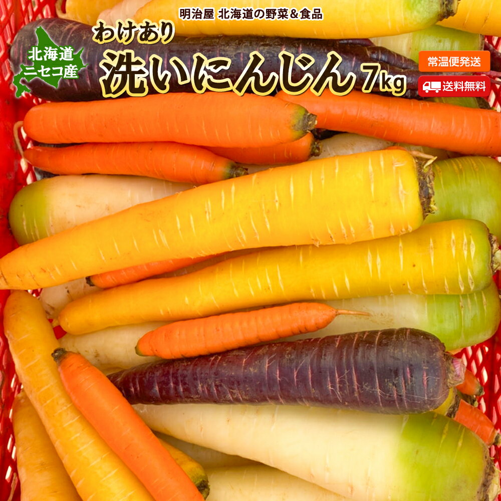 【12月下旬より順次お届け】わけあり洗いにんじん 送料無料 7kg サイズバラバラ 北海道産 ニセコ ...