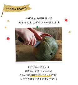 かぼちゃ送料無料5kg北海道ニセコ産秀品低農薬栽培北海道産カボチャハロウィン
