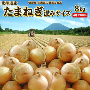 【11月下旬お届けご予約承り中】たまねぎ 送料無料 8kg 北海道産 蘭越産 S〜Lサイズ サイズ混み 玉ねぎ タマネギ ポリフェノール サラダ