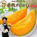 【予約商品】【7月上旬-下旬お届け】大きなメロン 送料無料 ビックサイズ 1玉 北海道羊蹄山麓産 【秀品】 赤肉メロン 1玉2kg以上 御中元 贈答 夏ギフト ...