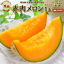 楽天明治屋　北海道の野菜＆食品★500円OFFクーポン発行中★【お届け期間7月上旬-8月上旬】大きなメロン 送料無料 ビックサイズ 1玉 北海道蘭越産 【秀品】 低農薬栽培 赤肉メロン 1玉2kg以上 御中元 贈答 夏ギフト お取寄せ フルーツ 内祝 プレゼント 帰省土産 大玉 暑中見舞い 御礼 御祝 お返し