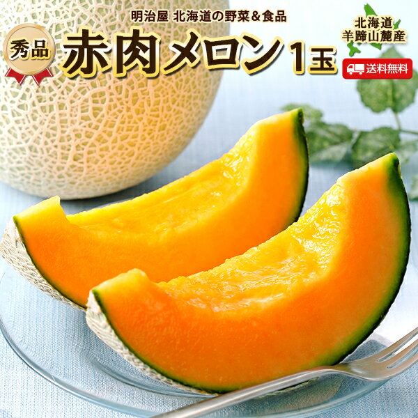 楽天明治屋　北海道の野菜＆食品★500円OFFクーポン発行中★【お届け期間7月上旬-8月上旬】メロン 送料無料 1玉 赤肉 北海道羊蹄山麓産 1玉あたり1.3kg以上 【秀品】 低農薬栽培 御中元 贈答 夏ギフト お取寄せ 果物ギフト フルーツ 内祝 プレゼント 法要 帰省土産 暑中見舞い 御礼 御祝 お返し