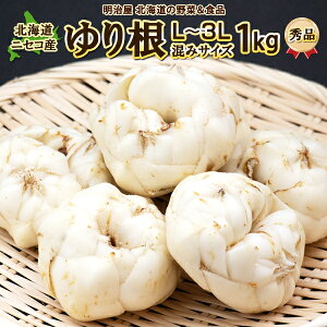 ゆり根 送料無料 1kg 秀品 北海道産 ニセコ産 高級食材 ゆりね 百合根 ユリ根 大きなL〜3Lサイズ お歳暮ギフト