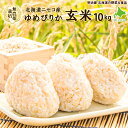 ＼20％増量キャンペーン！／無農薬栽培 ゆめぴりか 10kg 玄米 送料無料 令和5年 アイガモ農法 新米 北海道産 ニセコ産 送料込み ユメピ..