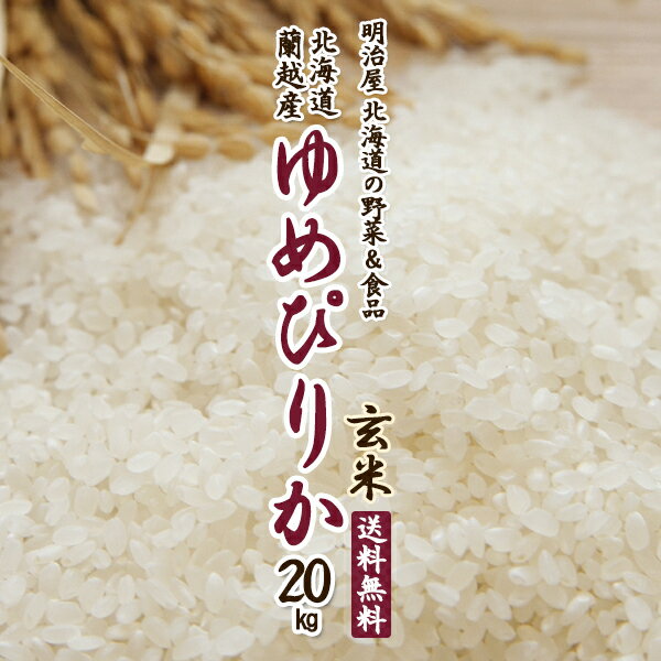 ゆめぴりか 20kg 玄米 送料無料 10kg×2袋でのお届け♪ 令和4年 新米 北海道産 蘭越産 送料込み ユメピリカ 北海道米【高橋農園】