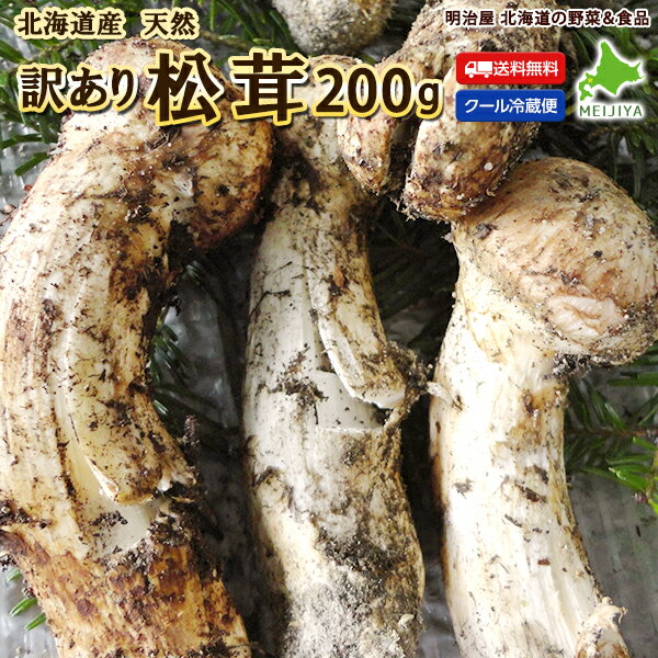 【9月より採れ次第お届け！】訳あり松茸 送料無料 200g 北海道 むかわ町穂別産 きのこ 香り 国産 冷蔵便 発送 まつたけ マツタケ 北海道産 わけあり ワケアリ