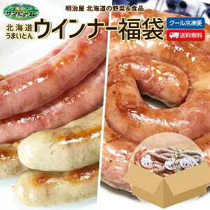 うまいとんウインナー福袋 送料無料 ウインナー3種 セット 北海道 千歳産 う米豚 ギフト 送料込み 豚肉 北海道産 肉専門店 サンビーム食品 札幌 肉ギフト お中元ギフト 夏ギフト お取り寄せ 肉のサンビーム