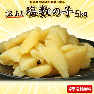 塩数の子 訳あり 5kg 500g×10袋 送料無料 本チャン 北海道 余市加工 2〜3折れ 御歳暮 ギフト 送料込み 12月-3月常温便発送 4月-11月冷蔵便発送 ※冷蔵便選択可能※ 数の子 かずのこ カズノコ わけあり ワケアリ 折れ子 塩折れ5kg