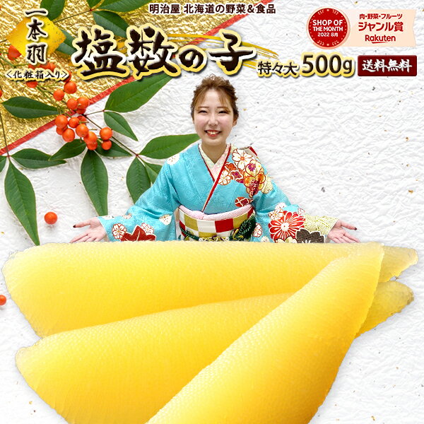 楽天明治屋　北海道の野菜＆食品★1,000円OFFクーポン発行中★大きな塩数の子 送料無料 500g 1本羽 化粧箱 北海道加工 御歳暮ギフト送料込み 【常温便発送】 ※冷蔵便選択可能※ 数の子 かずのこ カズノコ 海産ギフト 塩化粧500 贅沢おつまみ