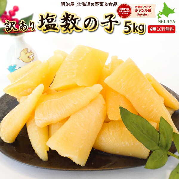 数の子 ★1,000円OFFクーポン発行中★塩数の子 わけあり 訳あり 5kg 500g×10袋 送料無料　本チャン 北海道加工 2〜3折れ 御歳暮 ギフト 送料込み 12月-3月常温便発送 4月-11月冷蔵便発送 ※冷蔵便選択可能※ 数の子 かずのこ カズノコ ワケアリ 折れ子 塩折れ5kg 贅沢おつまみ