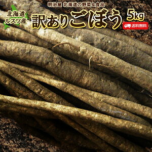 ごぼう 送料無料 5kg 北海道ルスツ産 土付き 訳あり 混みサイズ 送料込み ごぼう茶 国産 わけあり ワケアリ ゴボー 牛蒡