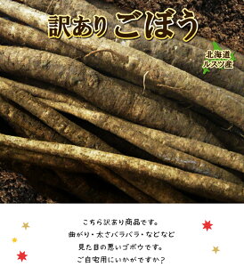 ごぼう 送料無料 3kg 北海道ルスツ産 土付き 訳あり 混みサイズ 送料込み ごぼう茶 国産 わけあり ワケアリ ゴボー 牛蒡
